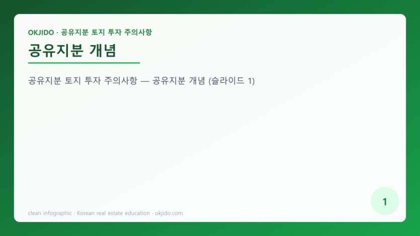 공유지분 개념